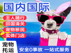 萧山航空空运国际宠物托运 【国